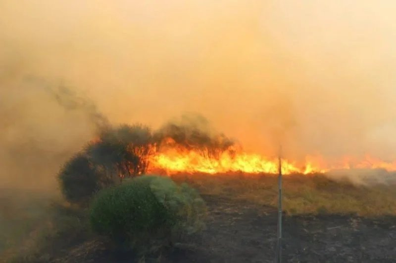 Governo reforça prevenção de incêndios com novo apoio financeiro ao fogo&nbsp;controlado