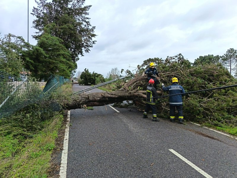 Informação – Depressão&nbsp;Kristin