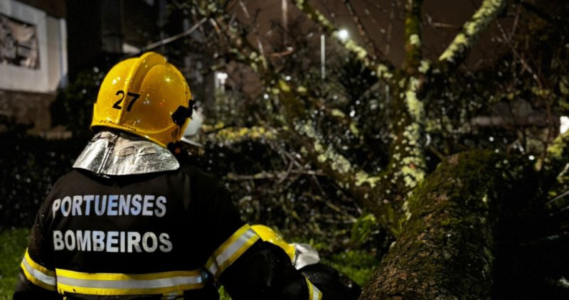 Mais de 30 mil bombeiros em&nbsp;ocorrências