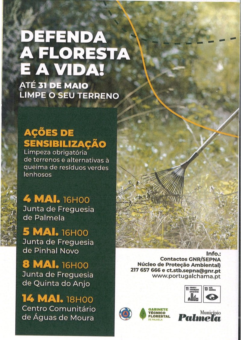  Defenda a Floresta e a Vida 