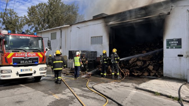 Azeitão: incêndio em armazém de cortiça provoca dois&nbsp;feridos