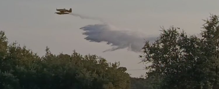 Incêndio em Pinhal Novo mobiliza 140&nbsp;operacionais